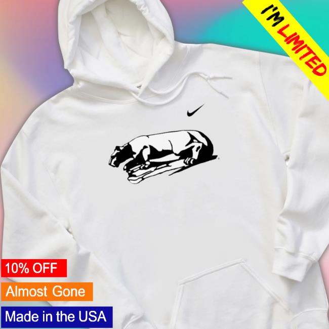 Official 2023 Champions Penn State Nittany Lions Hoodie Official 2023 Champions Penn State Nittany Lions Hoodie