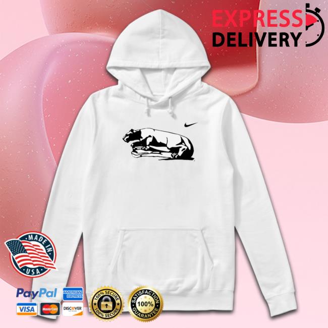 Official 2023 Champions Penn State Nittany Lions Hoodie Official 2023 Champions Penn State Nittany Lions Hoodie