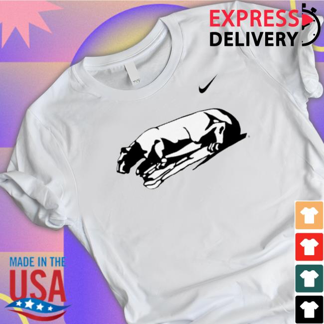 Official 2023 Champions Penn State Nittany Lions Hoodie Official 2023 Champions Penn State Nittany Lions Hoodie