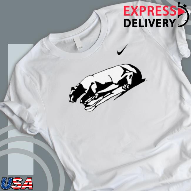 Official 2023 Champions Penn State Nittany Lions Hoodie Official 2023 Champions Penn State Nittany Lions Hoodie