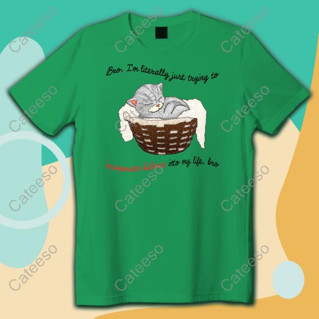 Artbyjmcgg Bro Im Literally Just Trying To Incorporate Balance Into My Life Bro Shirts Artbyjmcgg Bro Im Literally Just Trying To Incorporate Balance Into My Life Bro Shirts