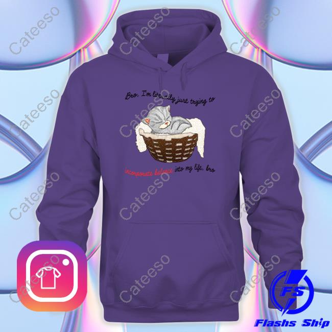 Artbyjmcgg Bro Im Literally Just Trying To Incorporate Balance Into My Life Bro Shirts Artbyjmcgg Bro Im Literally Just Trying To Incorporate Balance Into My Life Bro Shirts