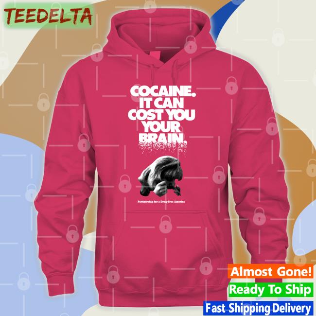 Laura Cocaine It Can Cost You Your Brain Hoodie Ecto_Fun Laura Cocaine It Can Cost You Your Brain Hoodie Ecto_Fun